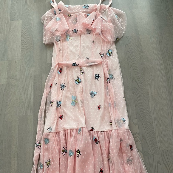 Betsey Johnson Ruffled Frilly Pink Tulle Mesh Lace Dress with Insects Embroidery - Picture 3 of 7